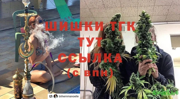 шишки Абинск