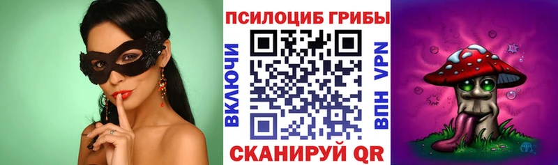 Псилоцибиновые грибы Psilocybe  Ермолино 